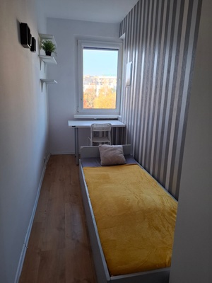 ZWM 18/65 #2