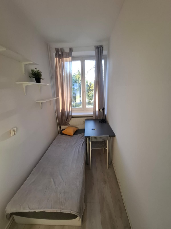 Iwicka 38/20 #2